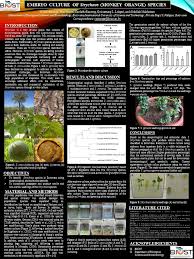 Image result for Strychnos gossweileri