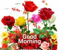 Wish your dearest ones with our amazing collection of good morning images, quotes, messages, ecards, greetings etc., Happy Sunday Pictures Photos Images And Pics For Facebook Tumblr Pinterest And Twitter