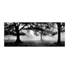 La Happylist De Stephanie Bardiaux Picture Frame Wall Ikea Picture Frame Ikea Pictures