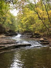 Tanyard creek nature trail is tucked away in the bella vista, arkansas area. Tanyard Creek Trail Waterfall Arkansas Vacations Arkansas Travel Vacation Places