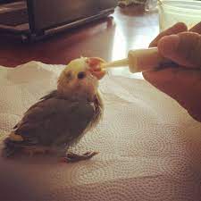 Pin On Cuteness 3
