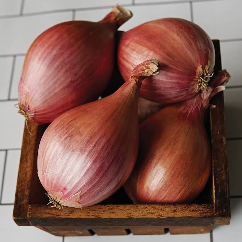 shallot.eth Ethereum Name Service (ENS and .eth domain) PFP