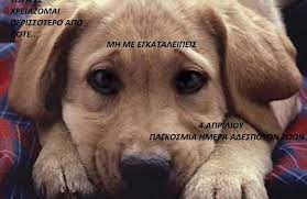 Σήμερα, 4/4 είναι η παγκόσμια ημέρα για να δώσουμε όλοι μας ιδιαίτερη προσοχή στα 600 εκατομμύρια αδέσποτα ζώα που υπάρχουν όλοι μπορούν να συμβάλουν και είναι στο χέρι όλων να βοηθήσουν να εξαπλωθεί σε όλο τον κόσμο αυτή προσπάθεια για την βοήθεια των αδέσποτων ζώων. Andreopoylh Kallioph Blog Archive 4 Aprilioy Pagkosmia Hmera Adespotwn Zwwn