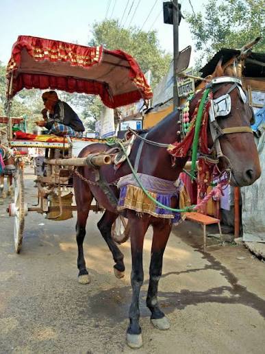 Bihar – Why not - Tripoto