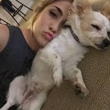 Devin Darmento (@devindammitt)