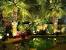 Backyard Oasis Garden