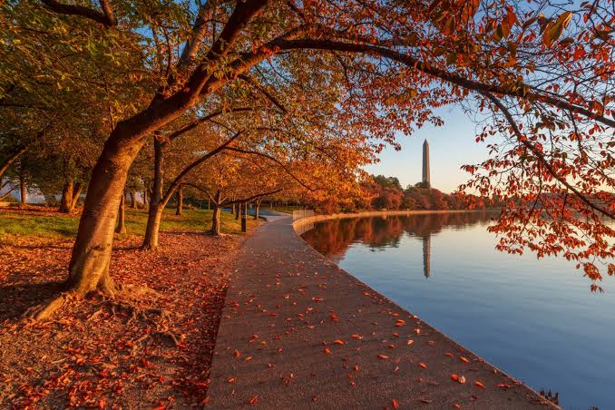 When regions around the US will see peak fall foliage - ABC News