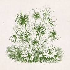 And as you stay for the play fantasy has in store for you. Earth Wind Flowers Home Facebook