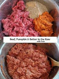5 Homemade Dog Food Recipes Know Better Pet Food Healthy Dog Food Recipes Dog Food Recipes Raw Dog Food Recipes
