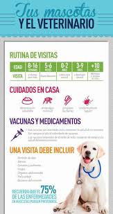 Hermosa labor que demuestra el verdadero significado de amor y respeto por el mundo animal 🐼 🐶 tus manos atienden a los animales, pero es en tu corazón donde se encuentra la mayor medicina 🤍 see more 120 Ideas De Dia Del Medico Veterinario En Venezuela En 2021 Dia Del Medico Veterinario Dia Del Medico Veterinario Medico