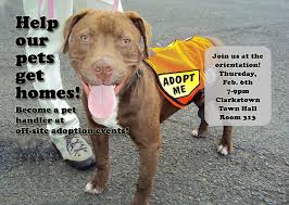 Be the first in the know about our new products, seasonal updates and pet care tips, competitions and more. Hi Tor Animal Care Center Inc Pet Care Animals Pet Adoption