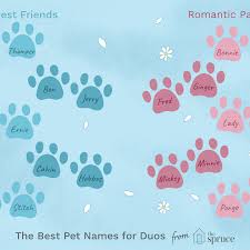 Clever Names For Pairs Of Pets