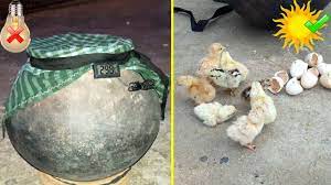 I guess keeping eggs near a wood stove would work as long as the temperature is carefully monitored, but the fire would have to be kept going constantly for several weeks. Homemade Incubator For Chicken Eggs Incubator Without Electricity Youtube