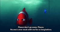 Enjoy the attractions of this popular tourist spot. Finding Nemo Gifs Get The Best Gif On Giphy