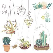 Wedding Succulents Floral Clipart Digital Wreath Floral Frames Flowers Terrariums Clip Art Scrapbooking Wedding Invi Plant Art Plant Drawing Succulent Art