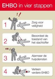Zie voor de uitgebreide omschrijving en uitleg van alle stappen het informatieboekje jeugd. 17 Ideeen Over Ehbo Reanimatie Eerste Hulp Menselijk Lichaam