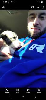 Missing dog in Bitter Lakes area