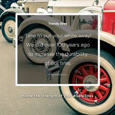 Image result for Canadian Tyre White 1965 BFI Waste