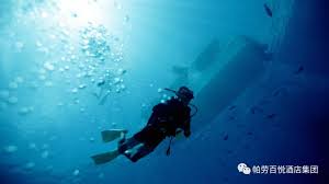 帛琉旅行社ptt 帛琉自由潛水 帛琉潛水季節 帛琉水母湖旅行社 帛琉潜水费用 高雄飛帛琉 雄獅帛琉評價 帛琉潛水季節 帛琉旅遊 幸福帛琉~來到帛琉旅遊，潛進內心的深處與神祕海洋對話，揚起白色風帆出海去，窺探海底花園的玫瑰珊瑚，享受牛奶湖spa，精選帛琉. æ½›æ°´ ç‚ºä»€éº¼ä¸€å®šè¦åŽ»å¸›ç‰ å£¹è®€
