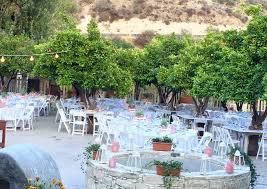 Organically cultivated vineyards from the region of anc. Ktima Georgiadi Home Facebook