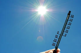 L'épisode caniculaire se poursuit ce mercredi, où les températures, dans certaines régions, atteindront 40°c. Fortes Chaleurs Paris Placee En Vigilance Orange Canicule Par Meteo France Actu Paris
