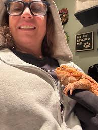Adopting a bearded dragon pet