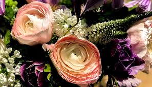 Contact floom, and we'll make it a reality, whatever the event is. Floribunda Flower Wholesale