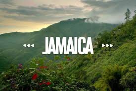 Clarendon hanover kingston manchester portland saint catherine st ann st. Milk River