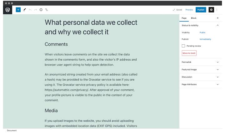 Publishing the dynamic Privacy Policy via the Block Editor, AI generated