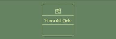 I met sally in a gym could work, but for the other sentences above, it would sound weird. Anita Life With No Bra