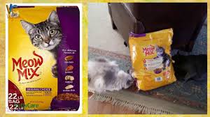 Halo natural dry cat food sensitive stomach seafood medley. Pin On 10 Best Dry Cat Foods