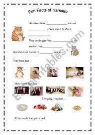 View our channel to see more cool videos about. Fun Facts Of Hamster Esl Worksheet By Jachooooo
