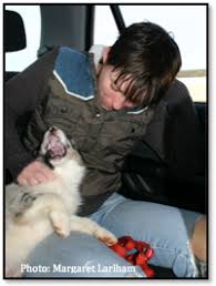 Both of these are good strategies. What To Do If Your Puppy Bites You Outside Of A Training Session Dogmantics Dog Training