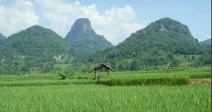 #curugcigentis #karawang #pesonaalam #loji curug yang berada di karawang ini merupakan salah satu pesona alam yang wajib untuk di kunjungi. Jalan Badami Loji Karawang Home Facebook