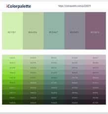 Since the contrast is less for summers, the colors in your palette are not as deep. Caper Coriander Summer Green Mountain Mist Old Lavender Color Scheme Icolorpalette