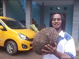 Salam hijau salam sukses bertani. Cerita Lengkap Mantan Pemulung Jadi Miliarder Dengan Menanam Porang Halaman 3