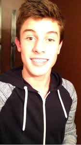 64 Shawn medes ideas
