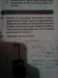Materi praktikum kelas viii disusun oleh : Klok Yg Ini Apa Ya Jawabannya Ini Soal Detik Detik Kls 6 2020 Soal No 36 Hal 191 Brainly Co Id
