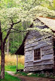 Smoky Mountain Vacation Planning For Gatlinburg Pigeon Forge And Sevierville Tn Cabins In The Woods Cabins In The Smokies Cabins And Cottages