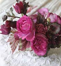 Begonia Rex And Flowers A Love Story Design Sponge Flowers Begonia Flower Arrangements