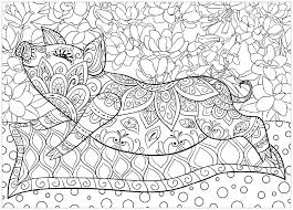 Pin On Coloring