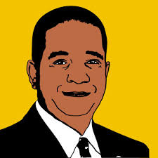 City Council District Races