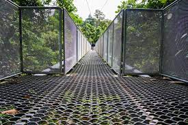 We did not find results for: Discover The Tree Top Walk Sungai Sedim Daytrip