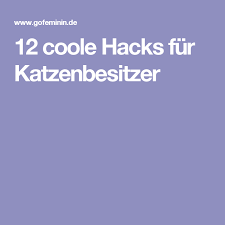 12 coole hacks fur katzenbesitzer katzen katzen wohnungen und best hacks