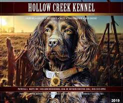 This breeder is a member of. The South Carolina State Dog The Boykin Spaniel Boykins Forever Hollow Creek Kennel Is The Breeder Of The First Two Boykin Spaniels To Earn American Kennel Club Hunting Titles