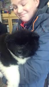 When The Baby Bear Becomes A Big Bear ❤️ 🥳🥳 Happy 1th Birthday 🥳🥳 🖤  Utayo De Zandvijver 🖤 May your first year with us be the first of many,  many more