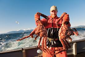 King Crab Quick Facts Alaskan King Crab