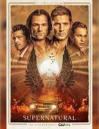Amazon prime may have a robust catalog, but it doesn't have everything. 7 Thriller Shows On Netflix Amazon Prime Video Disney Hotstar Rated 8 On Imdb To Get Rid Of Boredom