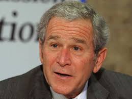 The Onion Bashes Bush (Literally)