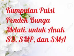 Kumpulan Puisi Bunga Melati Pendek Untuk Anak Sd Smp Dan Sma Kata Ucapan